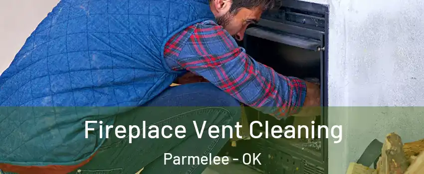 Fireplace Vent Cleaning Parmelee - OK