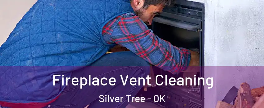 Fireplace Vent Cleaning Silver Tree - OK
