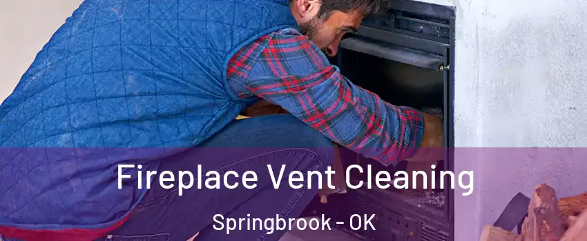 Fireplace Vent Cleaning Springbrook - OK