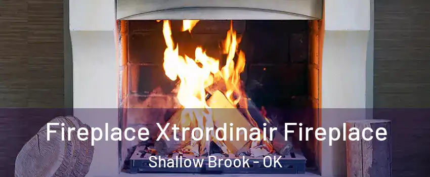 Fireplace Xtrordinair Fireplace Shallow Brook - OK