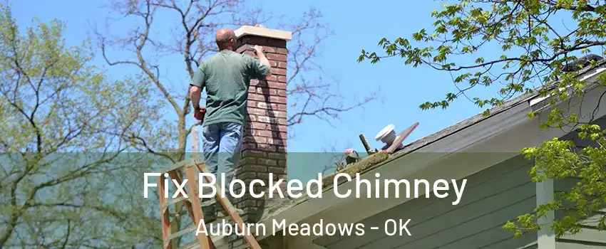 Fix Blocked Chimney Auburn Meadows - OK