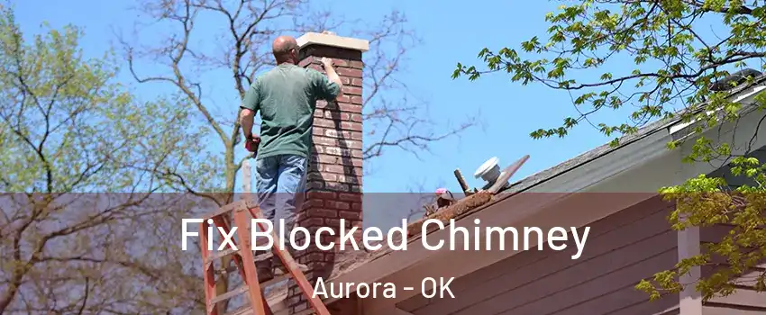 Fix Blocked Chimney Aurora - OK