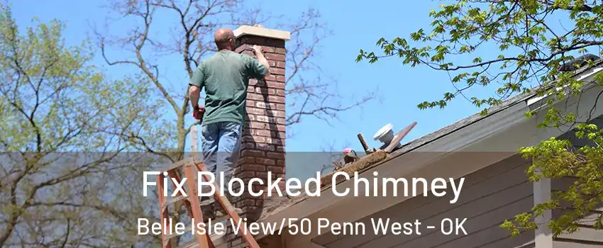 Fix Blocked Chimney Belle Isle View/50 Penn West - OK