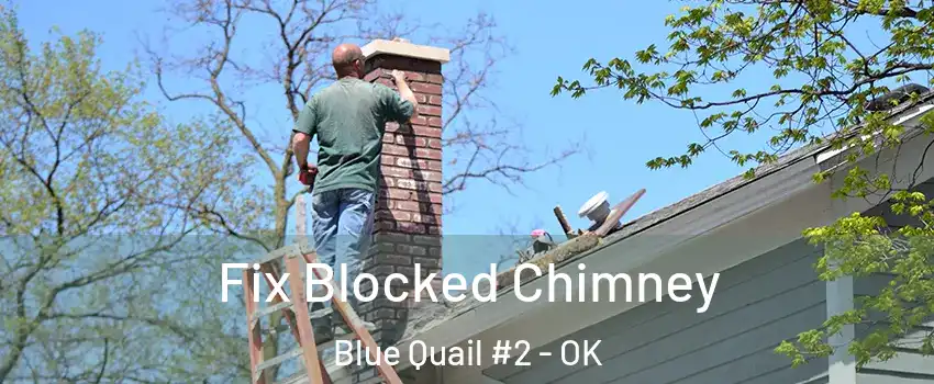 Fix Blocked Chimney Blue Quail #2 - OK
