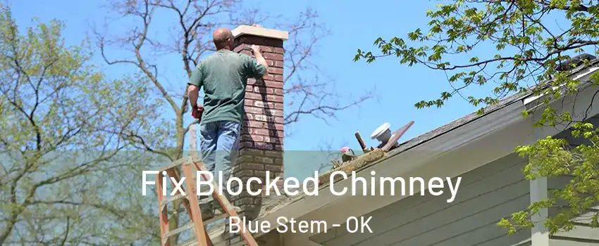 Fix Blocked Chimney Blue Stem - OK