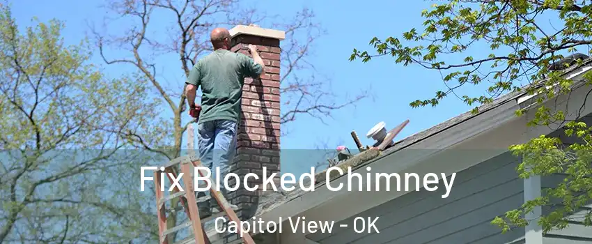 Fix Blocked Chimney Capitol View - OK