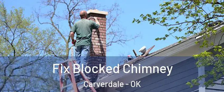 Fix Blocked Chimney Carverdale - OK