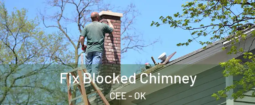 Fix Blocked Chimney CEE - OK