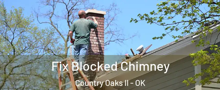Fix Blocked Chimney Country Oaks II - OK