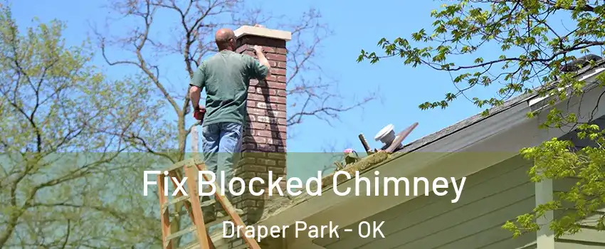 Fix Blocked Chimney Draper Park - OK
