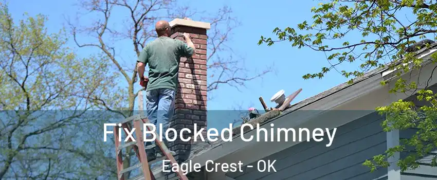 Fix Blocked Chimney Eagle Crest - OK