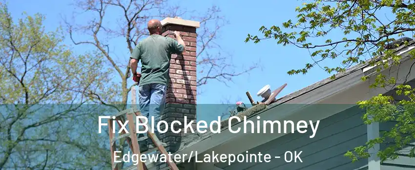 Fix Blocked Chimney Edgewater/Lakepointe - OK