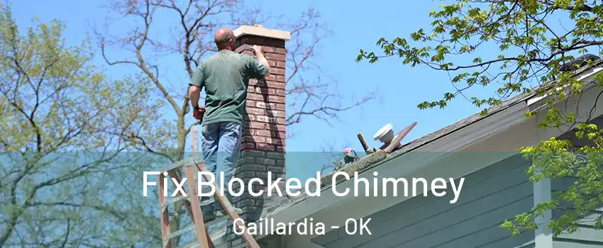 Fix Blocked Chimney Gaillardia - OK