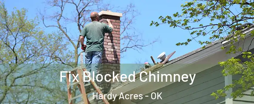 Fix Blocked Chimney Hardy Acres - OK