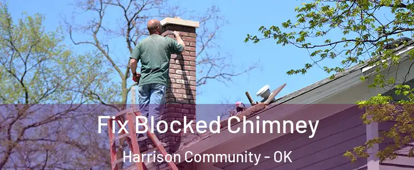 Fix Blocked Chimney Harrison Community - OK