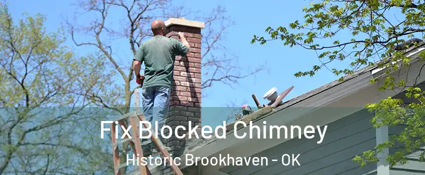 Fix Blocked Chimney Historic Brookhaven - OK