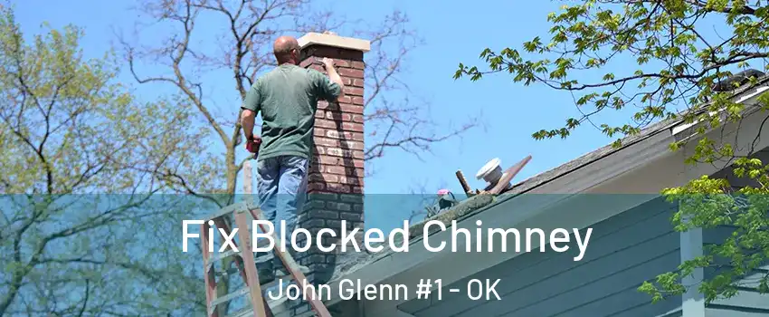 Fix Blocked Chimney John Glenn #1 - OK
