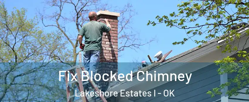 Fix Blocked Chimney Lakeshore Estates I - OK