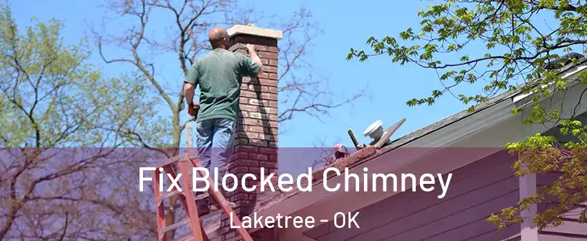 Fix Blocked Chimney Laketree - OK