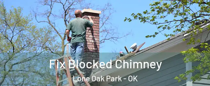 Fix Blocked Chimney Lone Oak Park - OK
