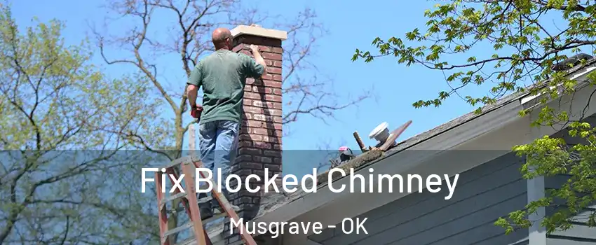 Fix Blocked Chimney Musgrave - OK