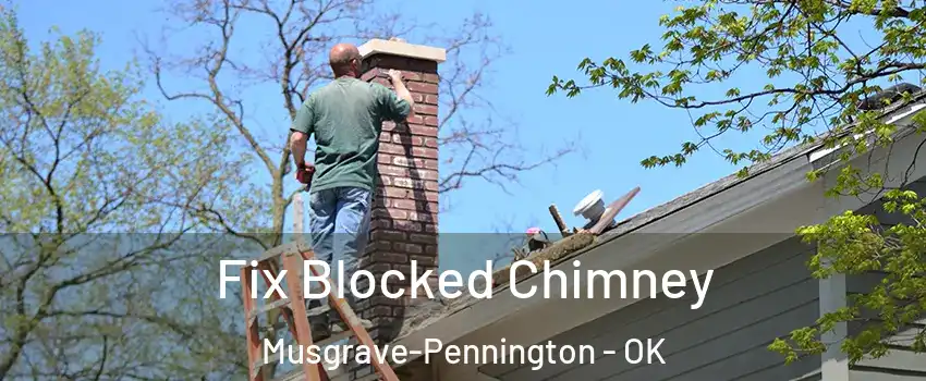 Fix Blocked Chimney Musgrave-Pennington - OK