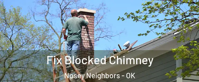 Fix Blocked Chimney Nosey Neighbors - OK