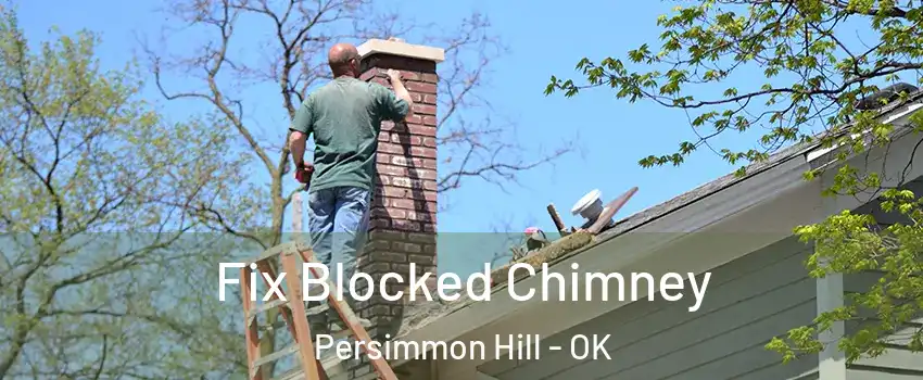 Fix Blocked Chimney Persimmon Hill - OK