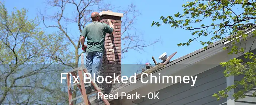 Fix Blocked Chimney Reed Park - OK