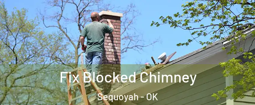 Fix Blocked Chimney Sequoyah - OK