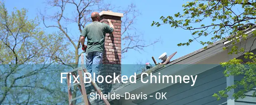 Fix Blocked Chimney Shields-Davis - OK