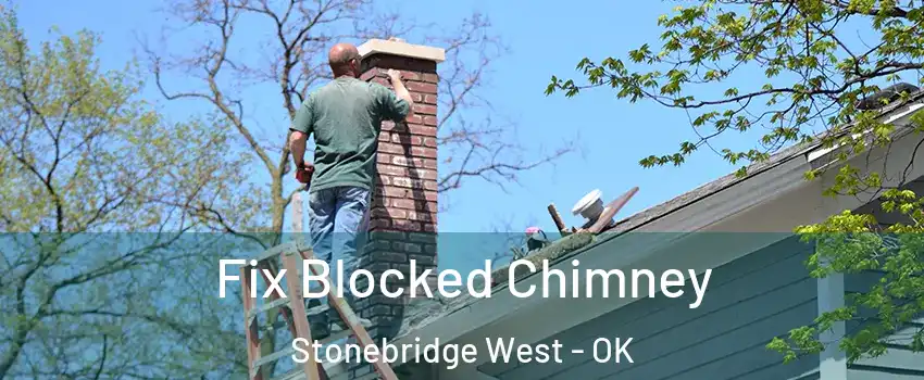 Fix Blocked Chimney Stonebridge West - OK