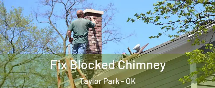 Fix Blocked Chimney Taylor Park - OK