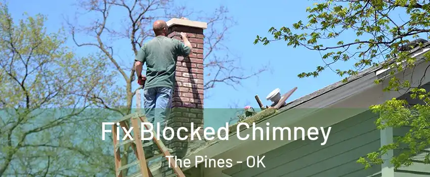 Fix Blocked Chimney The Pines - OK