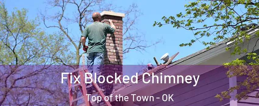 Fix Blocked Chimney Top of the Town - OK