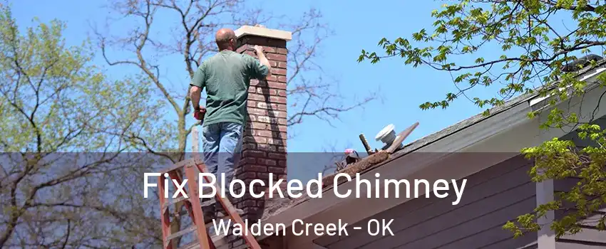 Fix Blocked Chimney Walden Creek - OK
