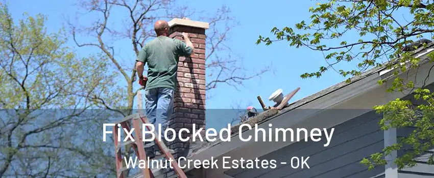 Fix Blocked Chimney Walnut Creek Estates - OK