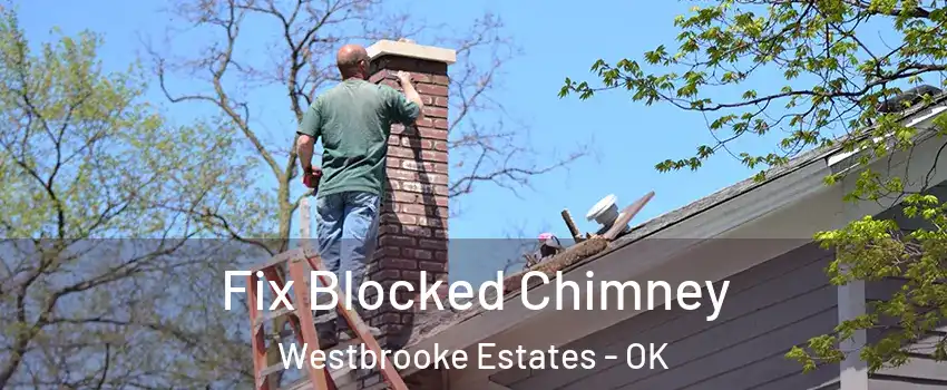 Fix Blocked Chimney Westbrooke Estates - OK