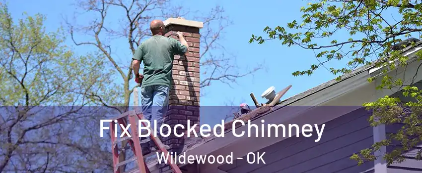 Fix Blocked Chimney Wildewood - OK