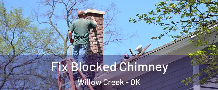 Fix Blocked Chimney Willow Creek - OK