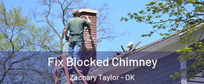 Fix Blocked Chimney Zachary Taylor - OK