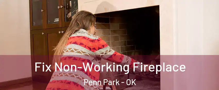 Fix Non-Working Fireplace Penn Park - OK