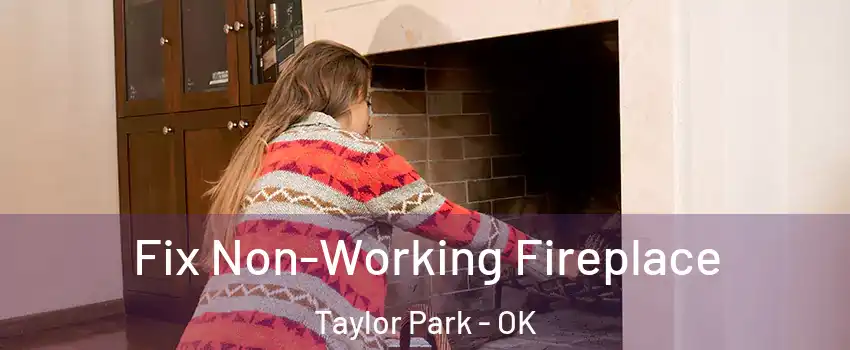 Fix Non-Working Fireplace Taylor Park - OK