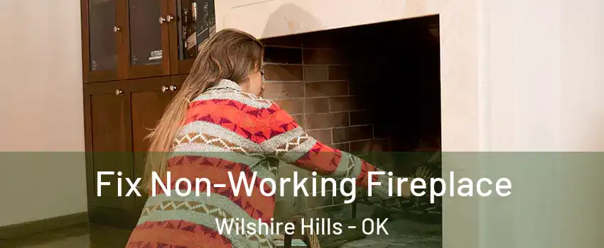 Fix Non-Working Fireplace Wilshire Hills - OK