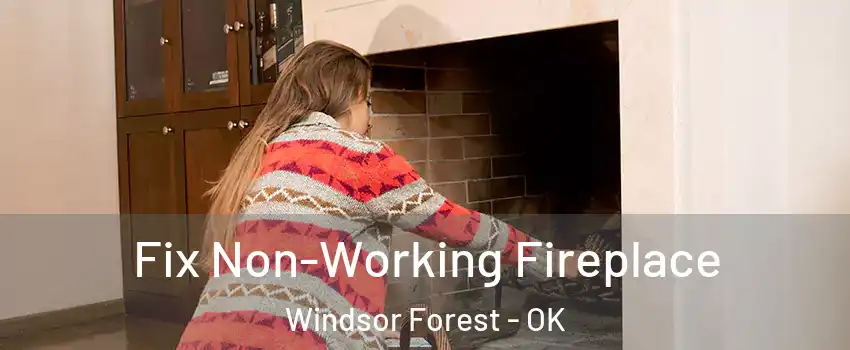 Fix Non-Working Fireplace Windsor Forest - OK