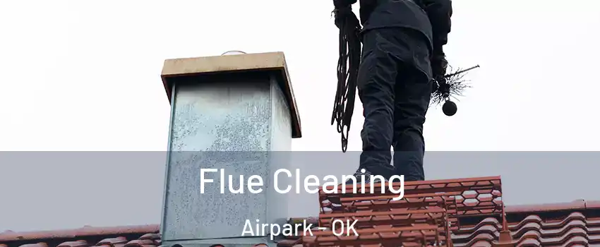 Flue Cleaning Airpark - OK