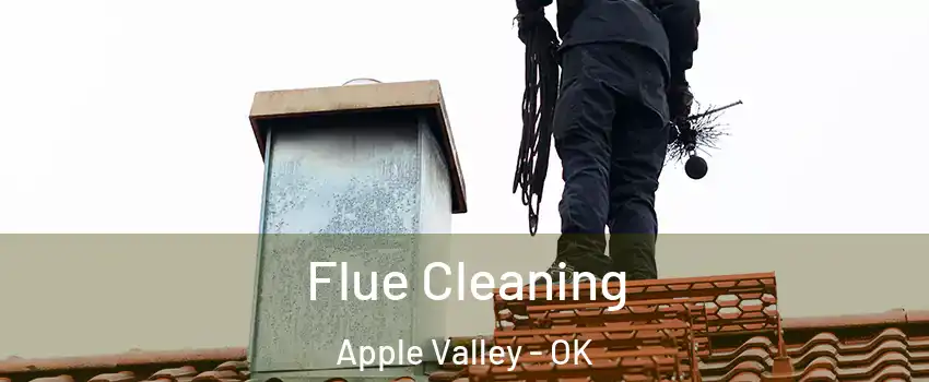 Flue Cleaning Apple Valley - OK