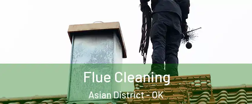 Flue Cleaning Asian District - OK