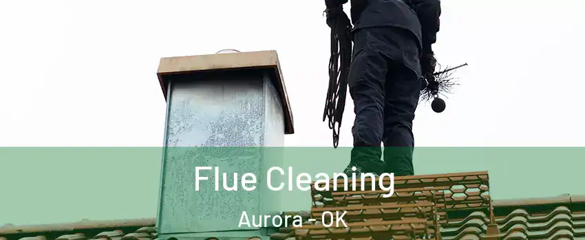 Flue Cleaning Aurora - OK