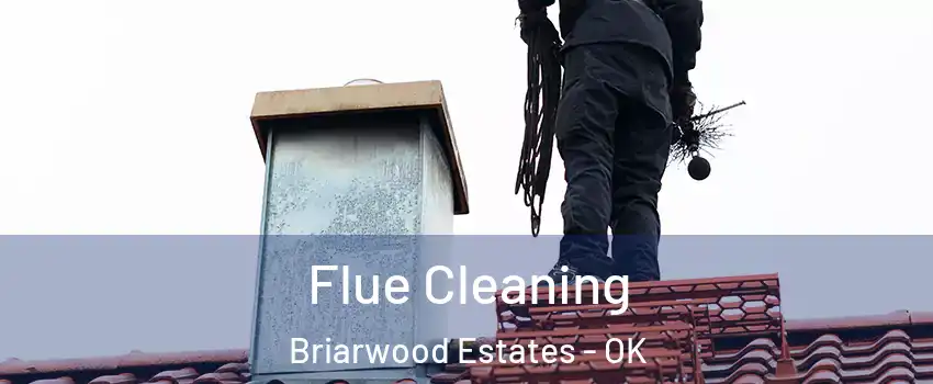 Flue Cleaning Briarwood Estates - OK
